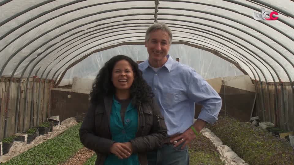 برنامج/أحضان الرفاهية