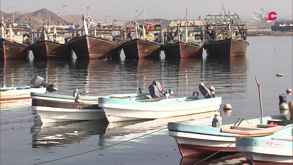 برنامج - عمان في اسبوع 2025 - الحلقة 34