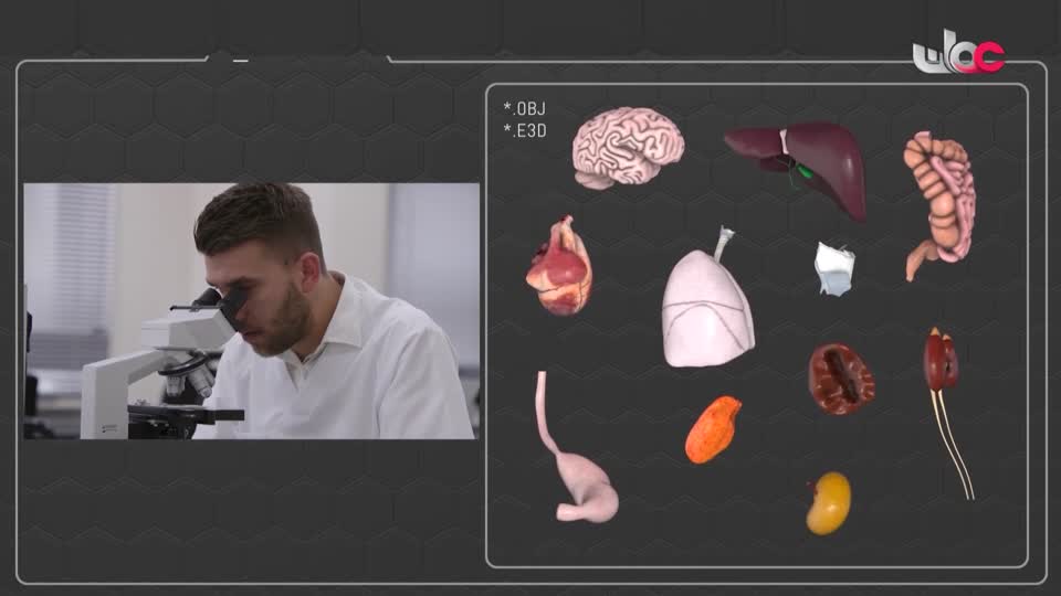 المسلسل الكرتوني - الاليون الصغار - الحلقة 8