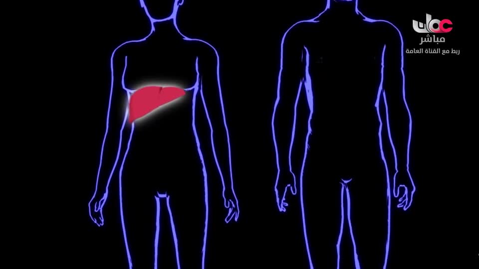 برنامج - اسرار الجسد - الحلقة 5