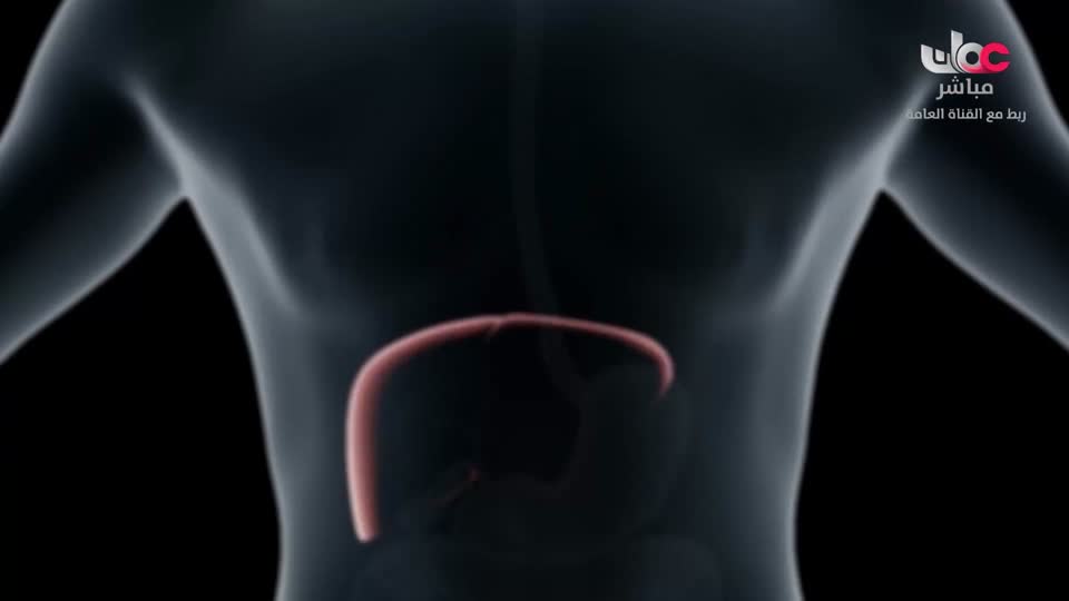 المسلسل الكرتوني - الاليون الصغار - الحلقة 8