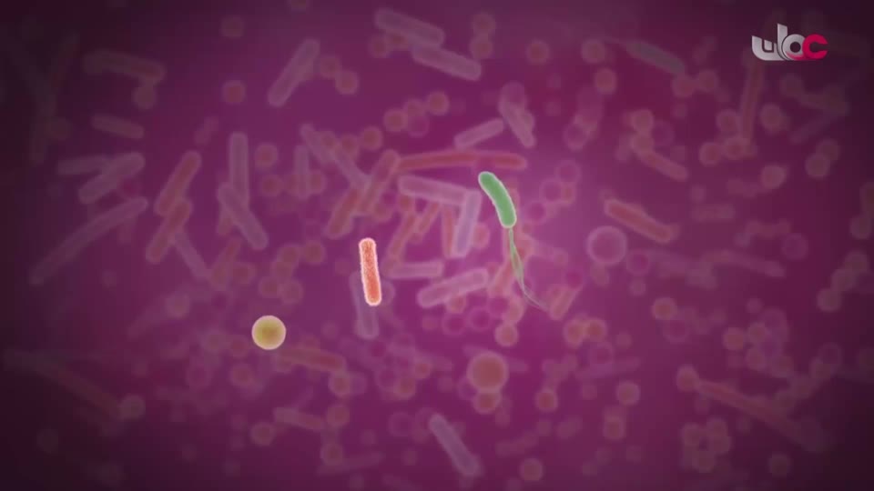 برنامج - اسرار الجسد - الحلقة 5