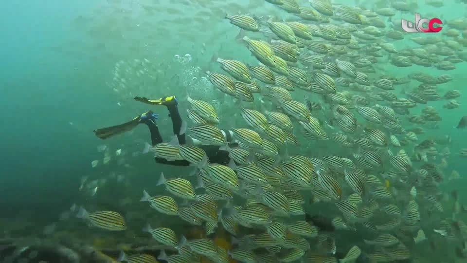 سحر الاعماق - الجمعة 5 ديسمبر2025م