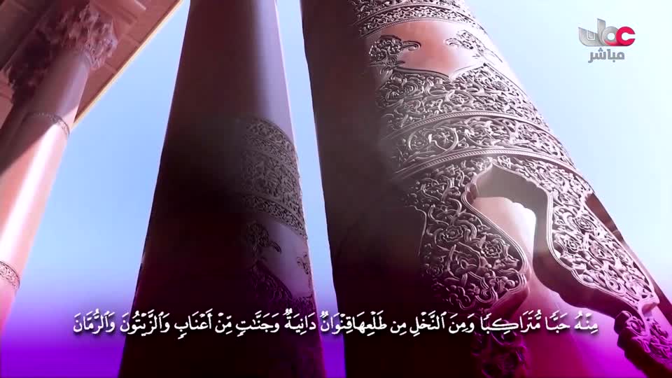 المسلسل الكرتوني - الاليون الصغار - الحلقة 10