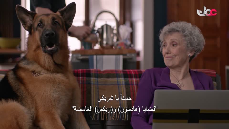 برنامج/منهاج