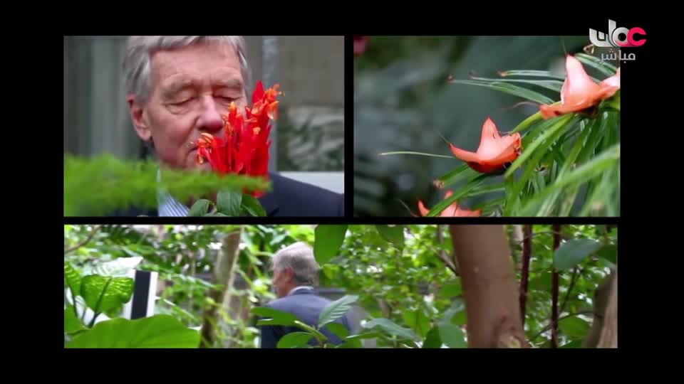 المسلسل الكرتوني - الاليون الصغار - الحلقة 9