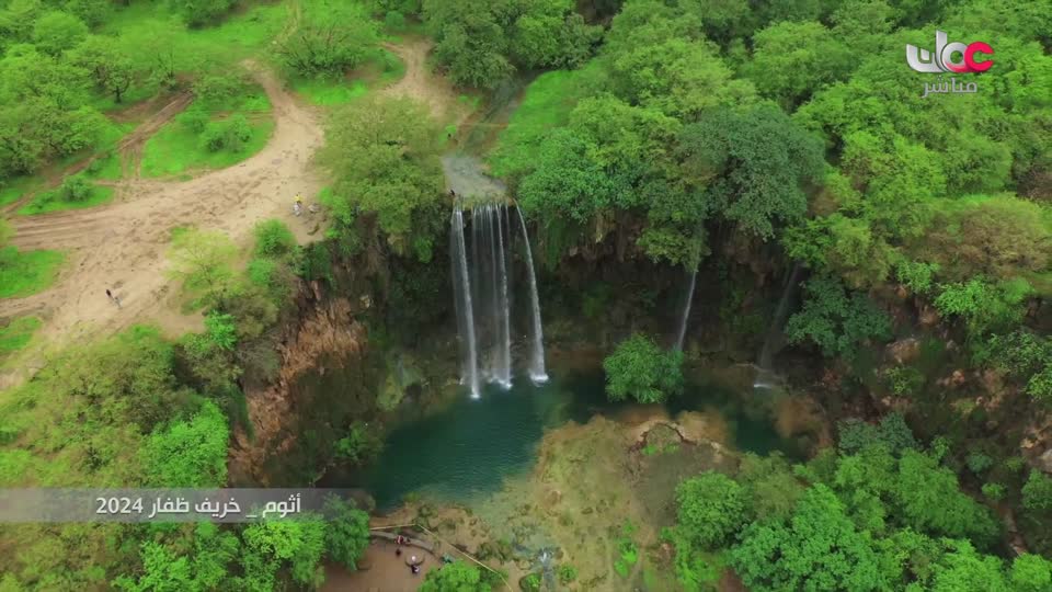 برنامج/طاقة الحياة