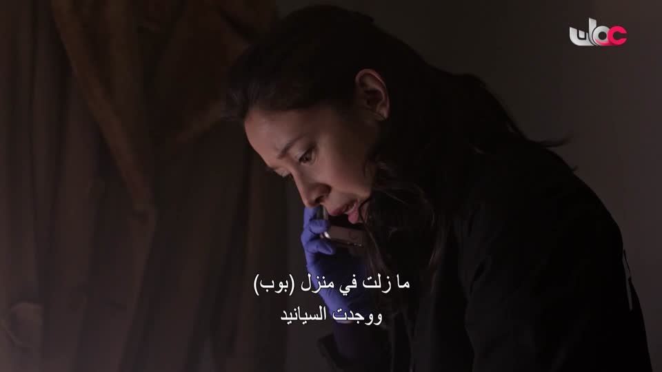 القران الكريم