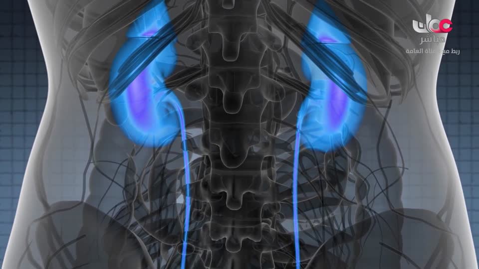 المسلسل الكرتوني - الاليون الصغار - الحلقة 10