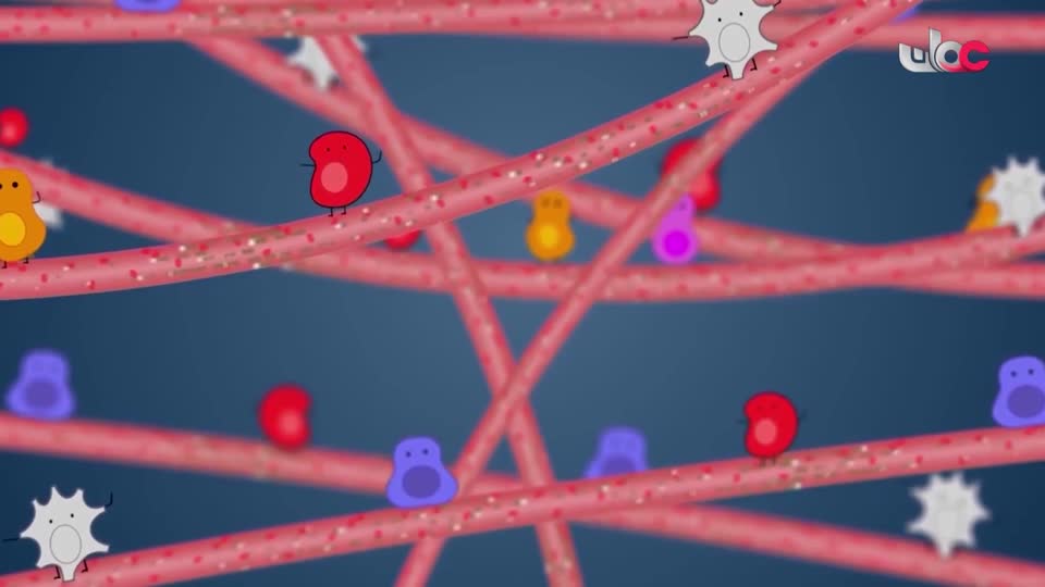 المسلسل الكرتوني - الاليون الصغار - الحلقة 10