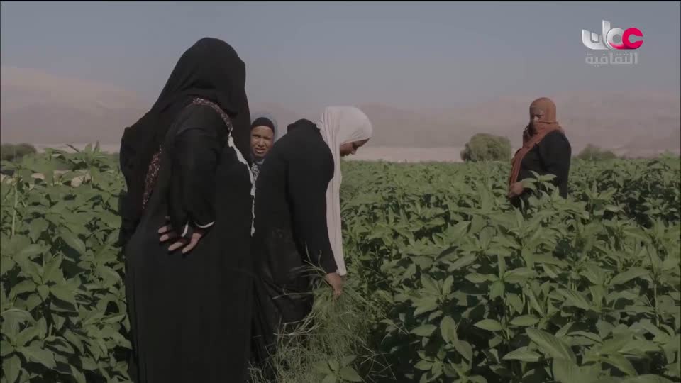 برنامج - كنوز الصحراء - الحلقة 15