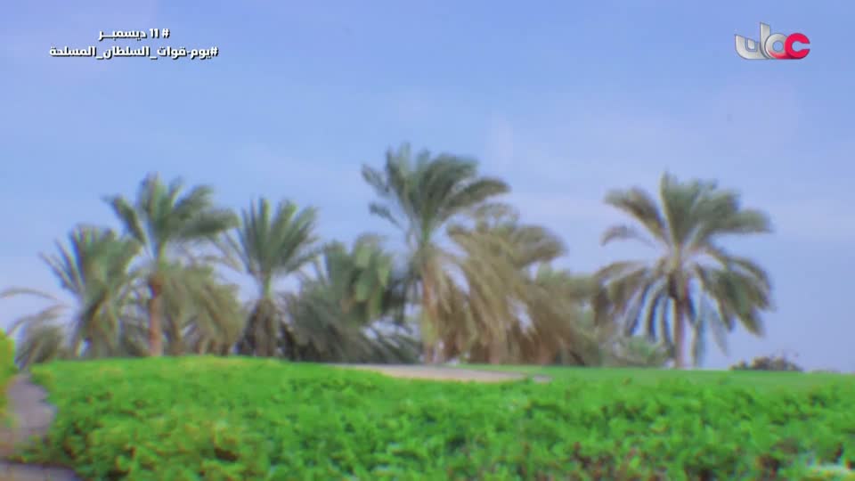 برنامج/أفنان