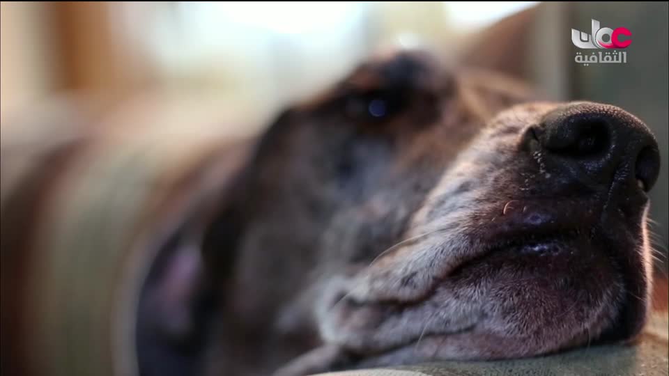 برنامج - حواضر اسلامية - الحلقة 10