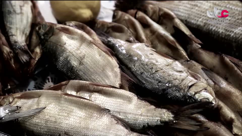 البرنامج الثقافي أرض ونار - تطور فن الطبخ - الحلقة 12