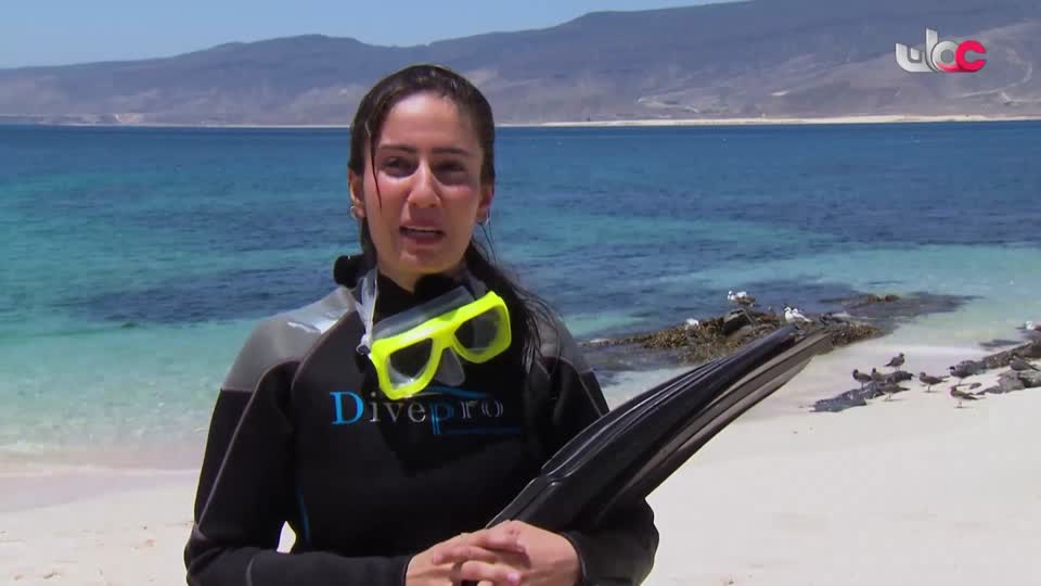 HUDSON AND REX - المسلسل الاجنبي - الحلقة 14