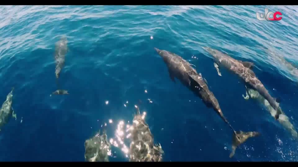 أذان المغرب