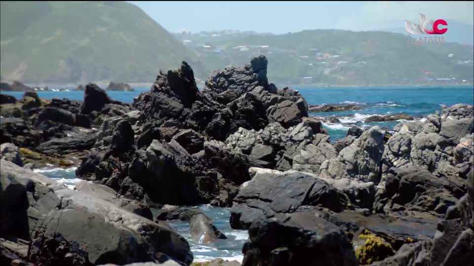 البرنامج الثقافي _ رغم من الصعاب - الحلقة 2