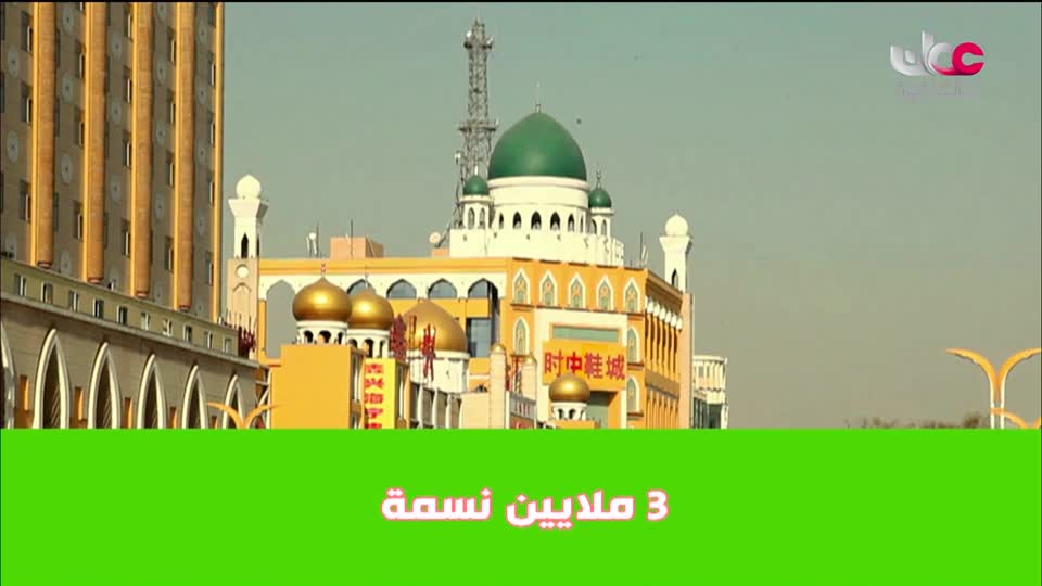 البرنامج الثقافي - العالم لك - الحلقة 43