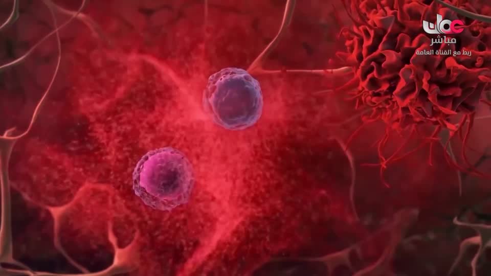 المسلسل الكرتوني - الاليون الصغار - الحلقة 16