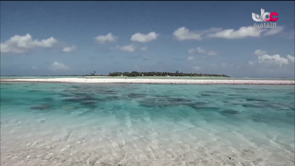 البرنامج الثقافي أرض ونار - تطور فن الطبخ - الحلقة 13