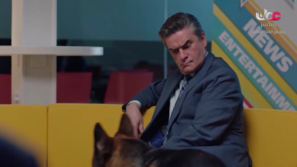 المسلسل البدوي/صقار