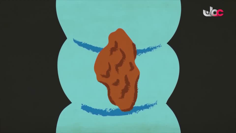 برنامج - اسرار الجسد - الحلقة 13