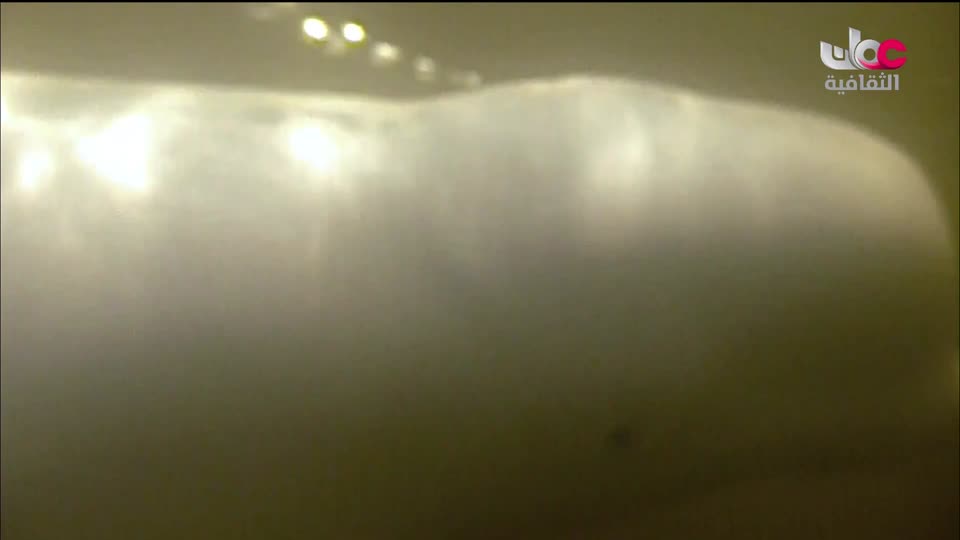 برنامج - غذاء وشعوب - الحلقة 17