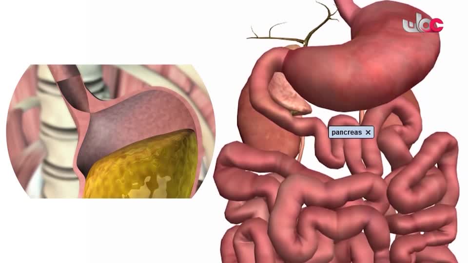 المسلسل الكرتوني - الاليون الصغار - الحلقة 16