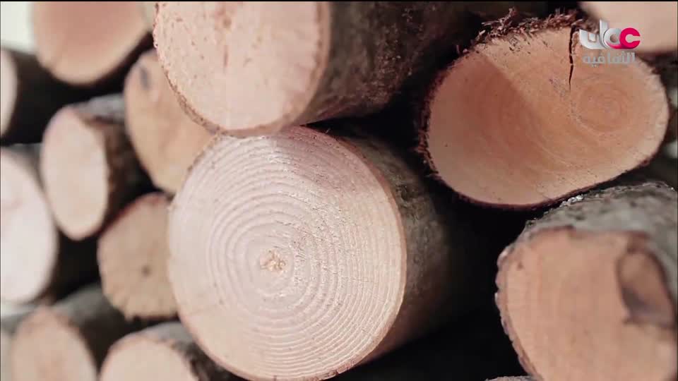 البرنامج الثقافي رحلة اكتشاف وتطور - الحلقة 23