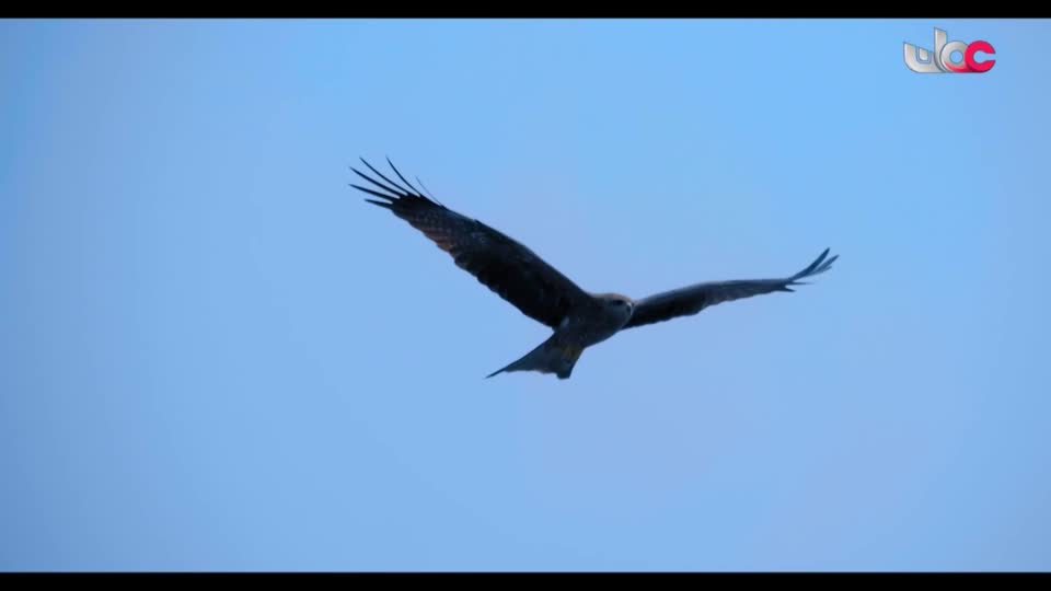 أذان المغرب