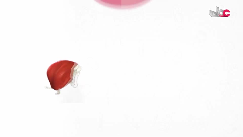 المسلسل الكرتوني - الاليون الصغار - الحلقة 17