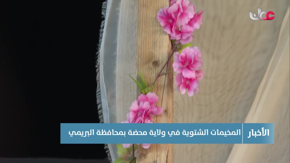 أخبار الحادية عشر