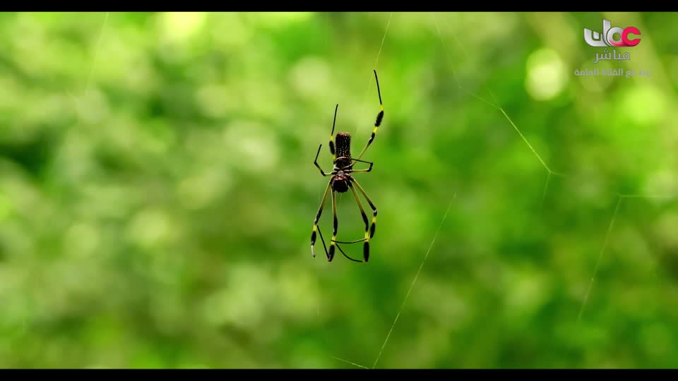 أذان المغرب