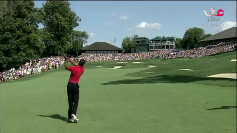 أسواق الاطعمة