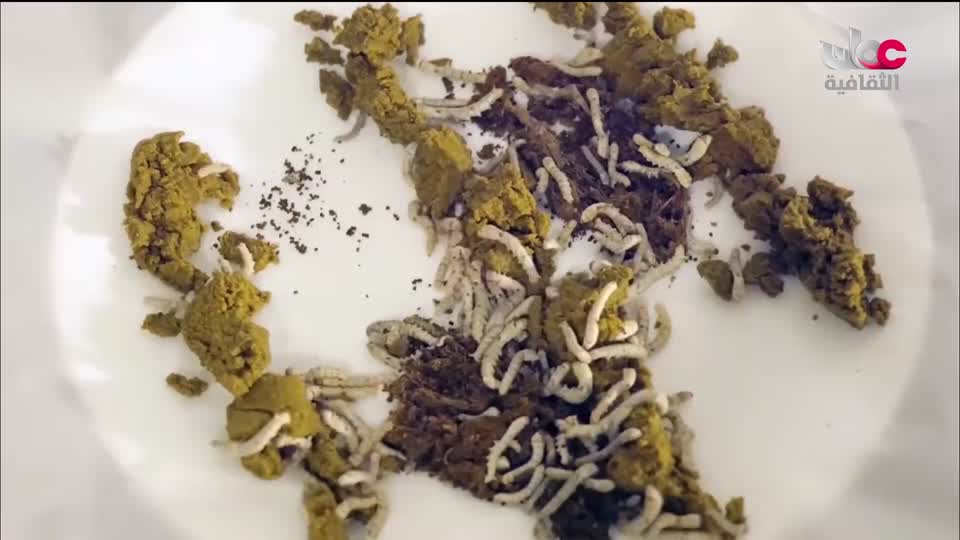 البرنامج الثقافي في خلقه شؤون - الموسم الثاني - الحلقة 15