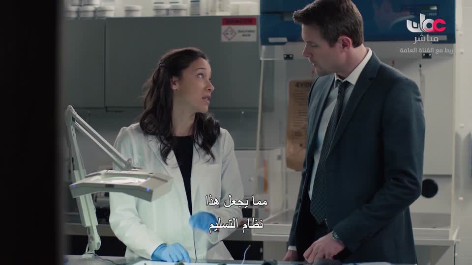 المسلسل البدوي/صقار