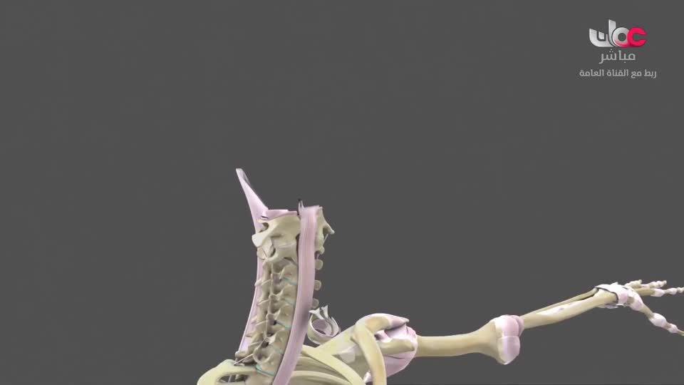 المسلسل الكرتوني - الاليون الصغار - الحلقة 18