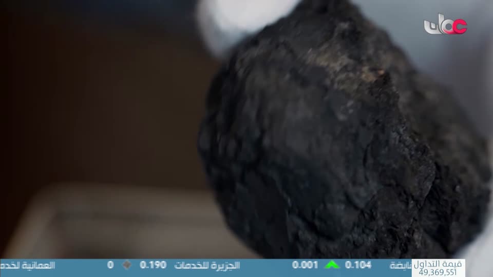 برنامج/طاقة الحياة