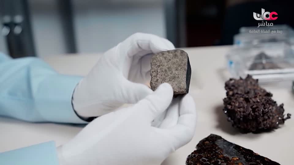 برنامج/طاقة الحياة