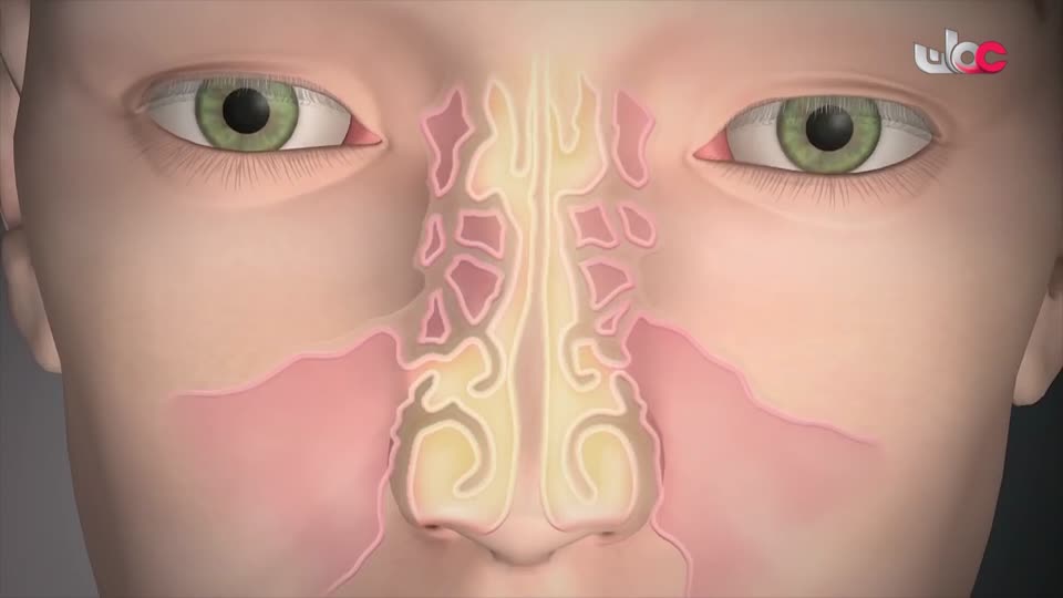 HUDSON AND REX - المسلسل الاجنبي - الحلقة 16