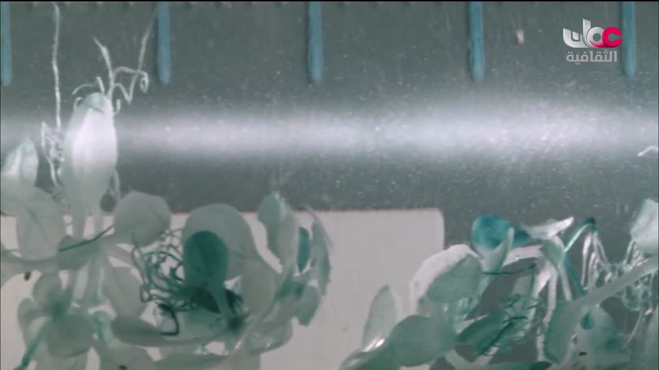 البرنامج الثقافي - اعلام الشعر المعاصر - الحلقة 15