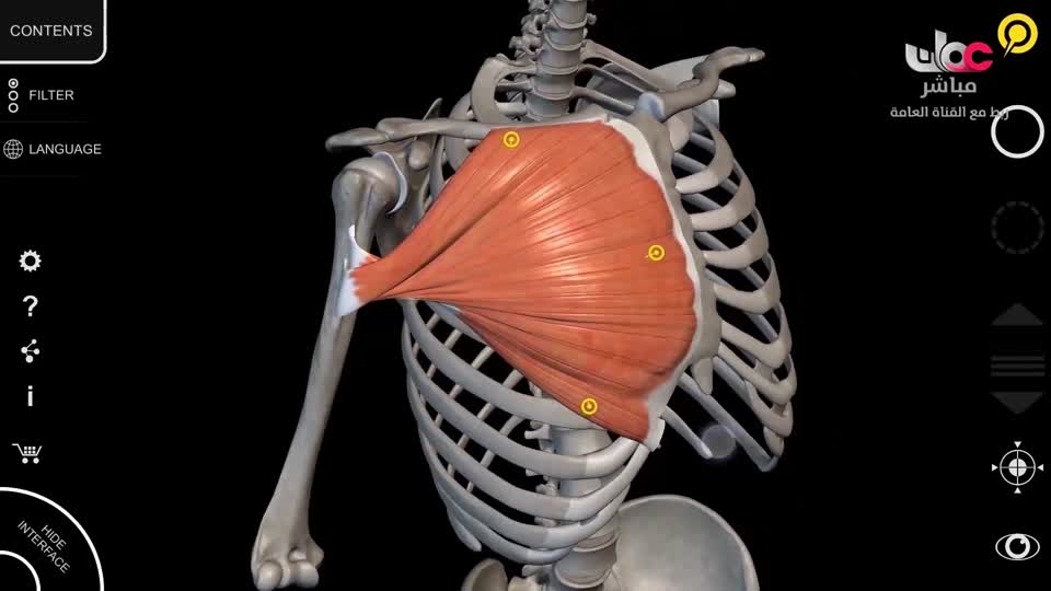 برنامج - اسرار الجسد - الحلقة 15