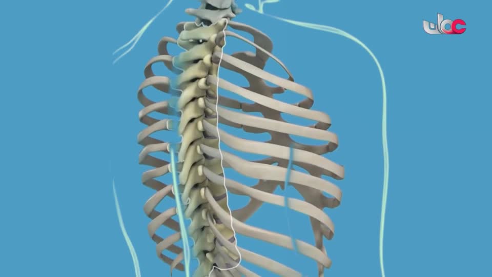 برنامج - اسرار الجسد - الحلقة 15