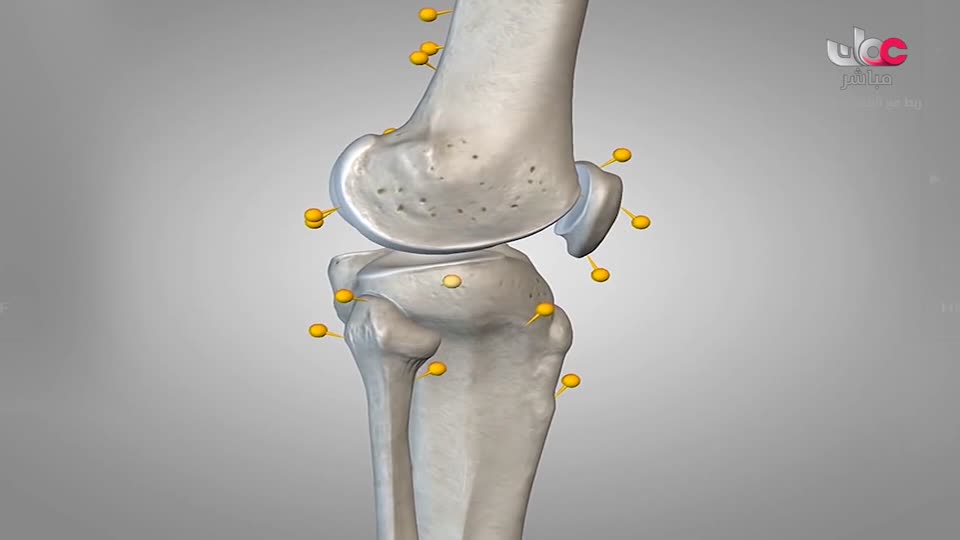 برنامج - اسرار الجسد - الحلقة 15