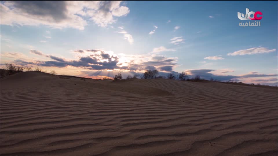 برنامج - كنوز الصحراء - الحلقة 20