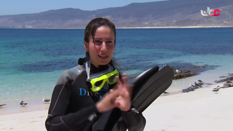 برنامج/سحر الأعماق