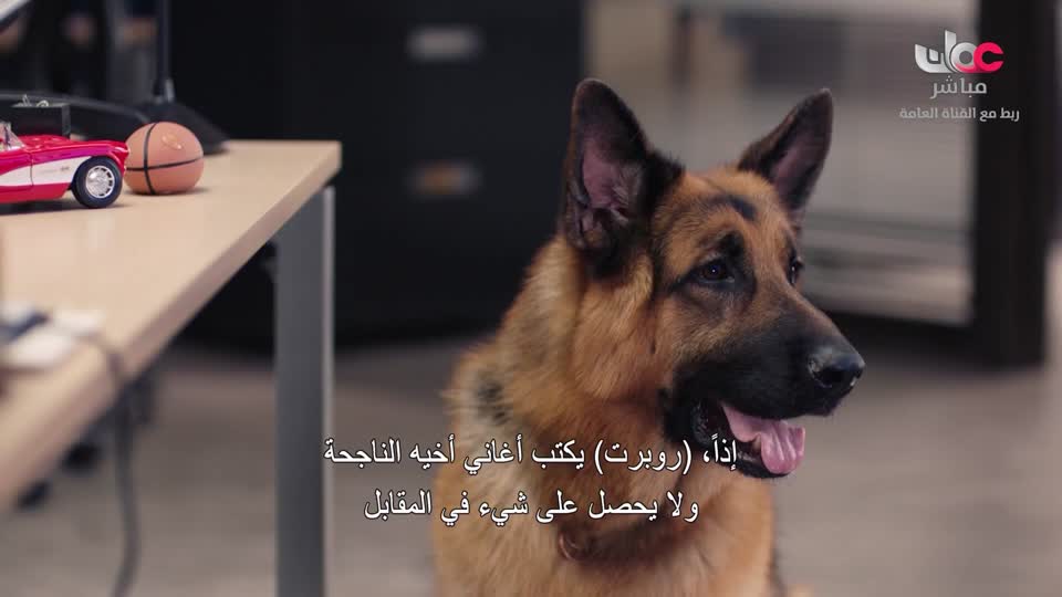 HUDSON AND REX - المسلسل الاجنبي - الحلقة 18