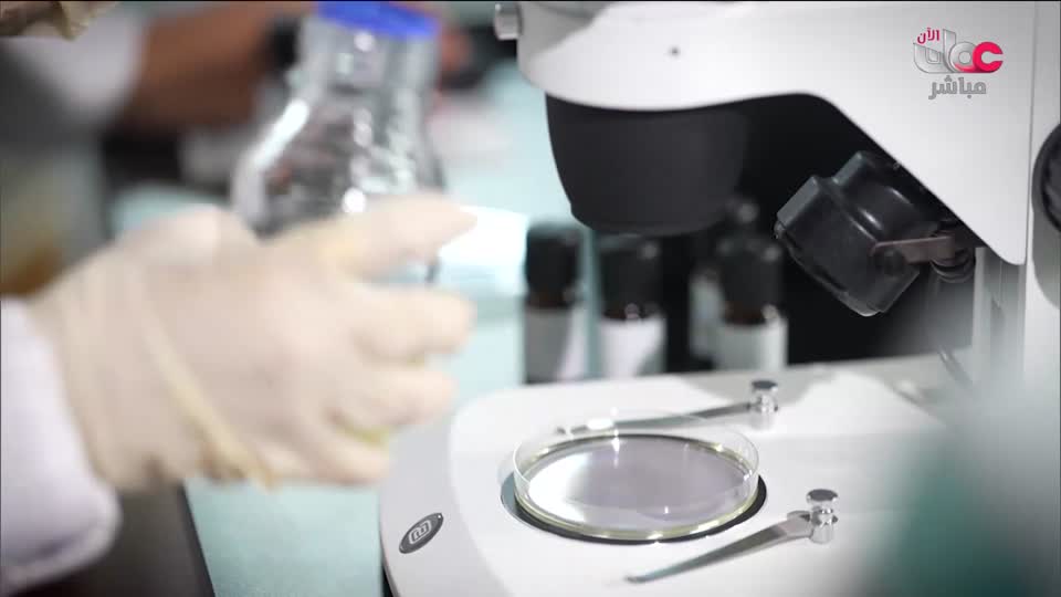 برنامج/أفنان