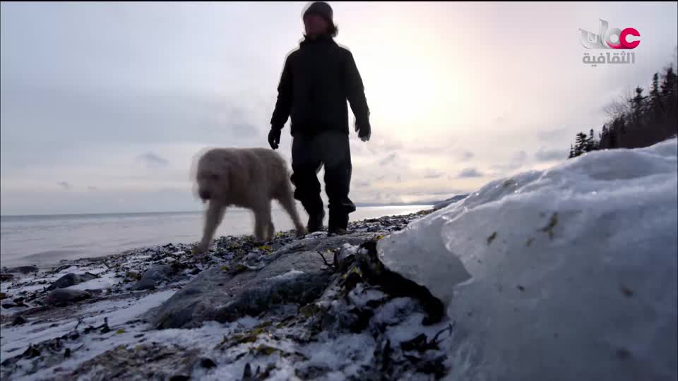البرنامج الثقافي - الصراع من أجل البقاء