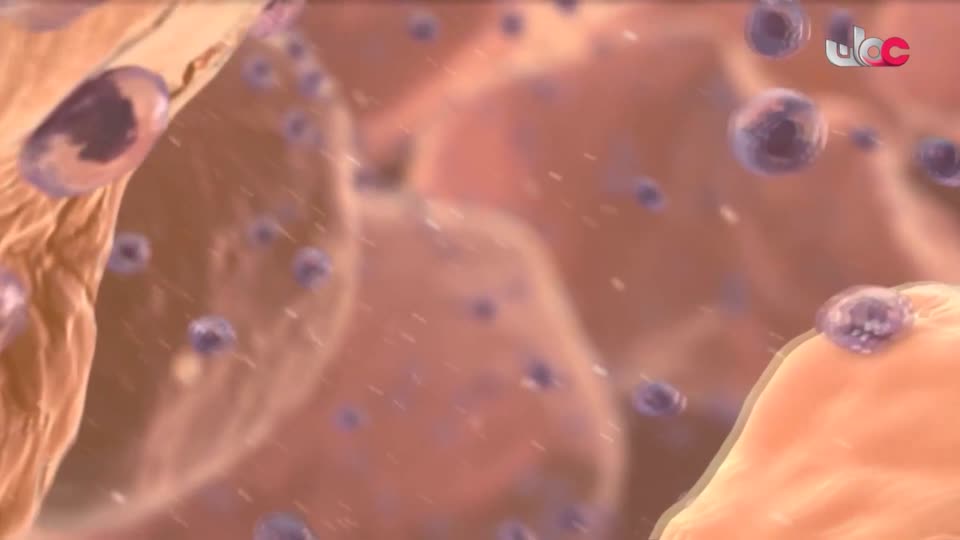 HUDSON AND REX - المسلسل الاجنبي - الحلقة 17